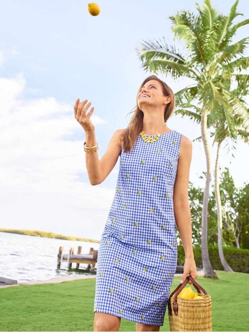NWT $129 Talbots LEMONS & GINGHAM SHIFT DRESS Sz 18